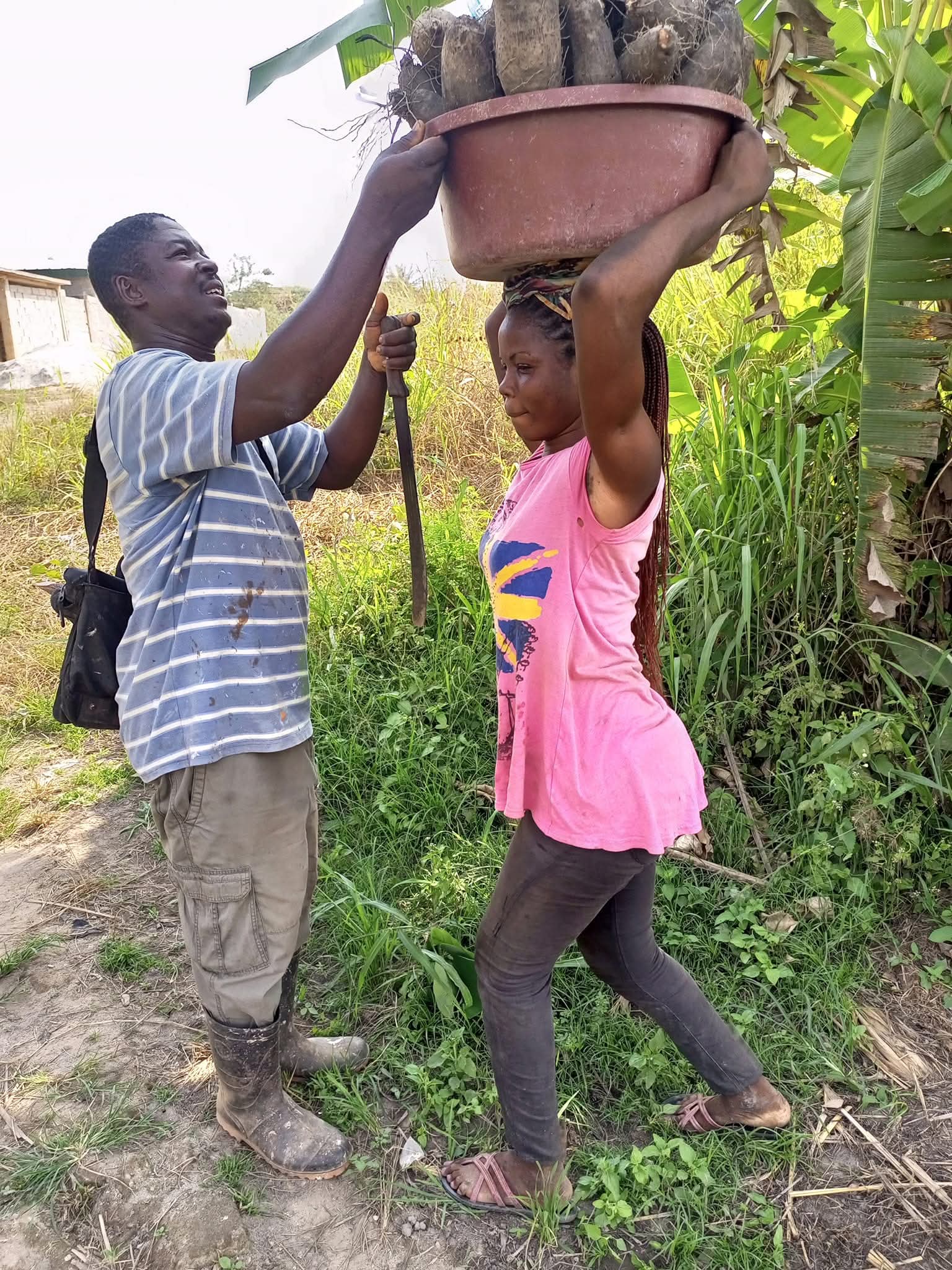 Centre d'Incubation des jeunes à Téhiri